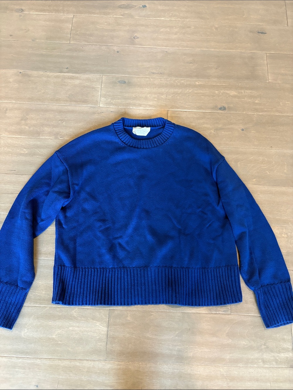 Everlane Crewneck Sweater in Cobalt Blue